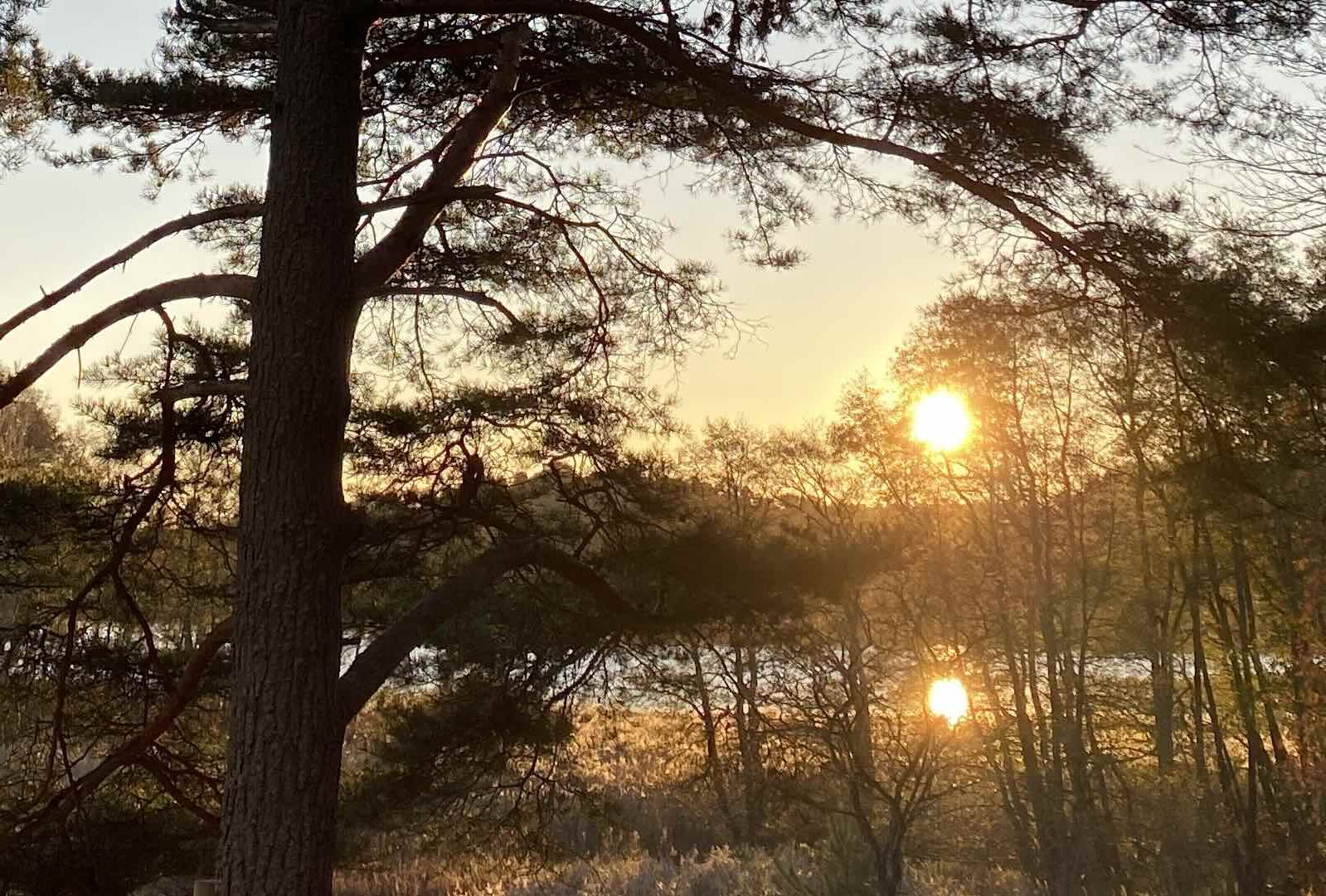 Focus your energy on the things your really care about